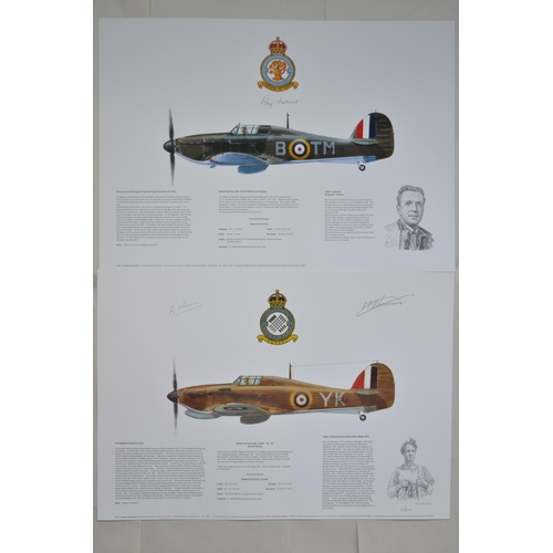 226 - 9 numbered limited edition profile prints (max 100) by 1st Edition, artwork by M A Kinnear, of RAF W... 