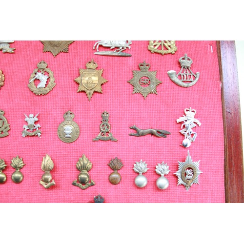 381 - Cased collection of mainly British military cap badges of various eras.  Examples inc. Prince of Wal... 