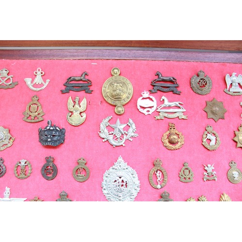 381 - Cased collection of mainly British military cap badges of various eras.  Examples inc. Prince of Wal... 