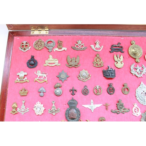 381 - Cased collection of mainly British military cap badges of various eras.  Examples inc. Prince of Wal... 