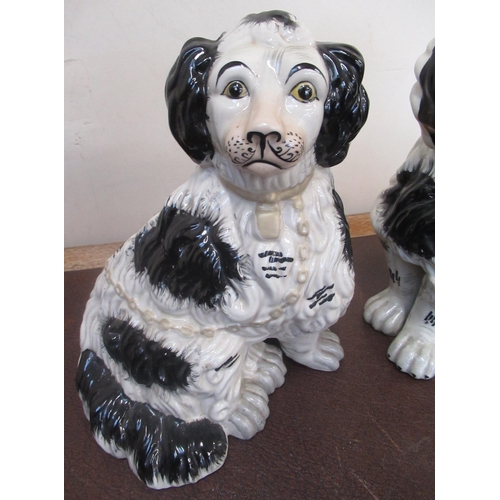 177 - Large pair of black and white Staffordshire style dogs with yellow painted collars and chains, H30cm... 