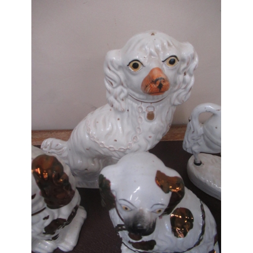 181 - Three Staffordshire type spaniels with lustre decoration, another white spaniel and figure on horseb... 