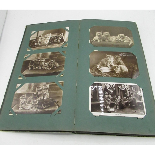 362 - Early C20th postcard album containing printed and RP postcards of cats, fashion, some topographical ... 