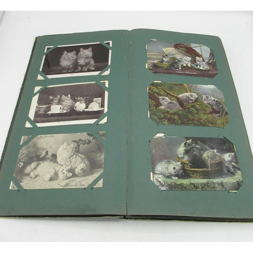 362 - Early C20th postcard album containing printed and RP postcards of cats, fashion, some topographical ... 