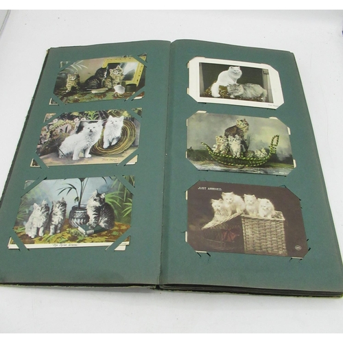 362 - Early C20th postcard album containing printed and RP postcards of cats, fashion, some topographical ... 