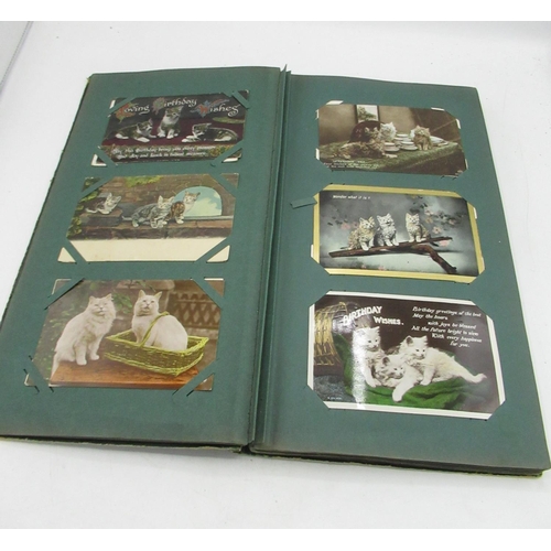 362 - Early C20th postcard album containing printed and RP postcards of cats, fashion, some topographical ... 