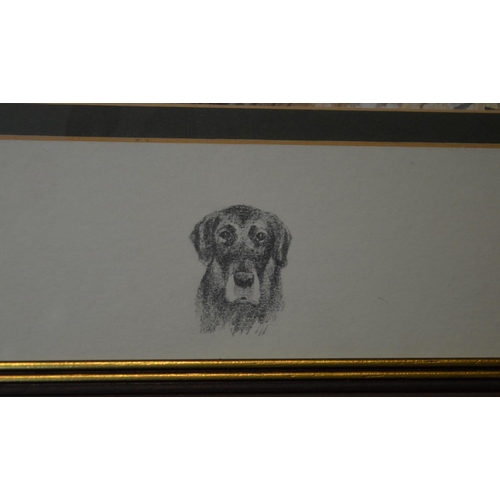 98 - Framed watercolour of a lurcher/pointer type hunting dog, signed J Nichols W54cm H44cm