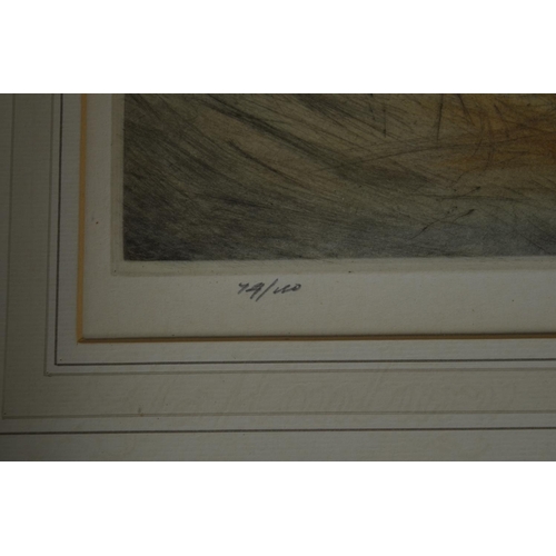 95 - A framed limited edition print (74/150) of 2 Gundogs by Henry Wilkinson and signed in pencil by the ... 