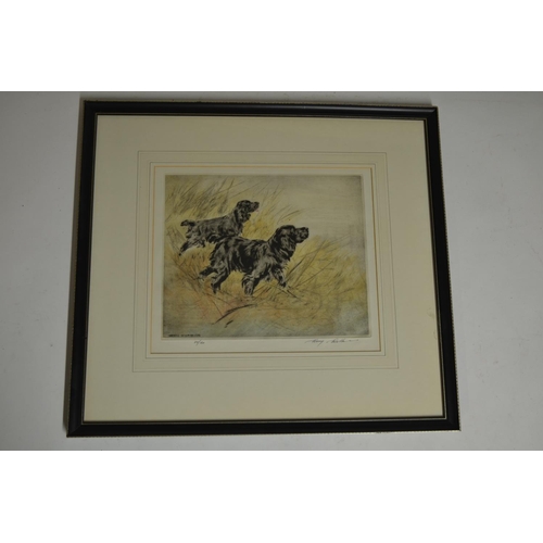 96 - A framed limited edition print (37/150) of 2 Gundogs by Henry Wilkinson and signed in pencil by the ... 