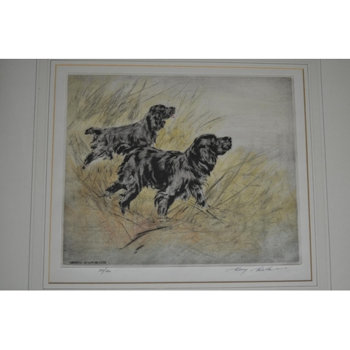 96 - A framed limited edition print (37/150) of 2 Gundogs by Henry Wilkinson and signed in pencil by the ... 