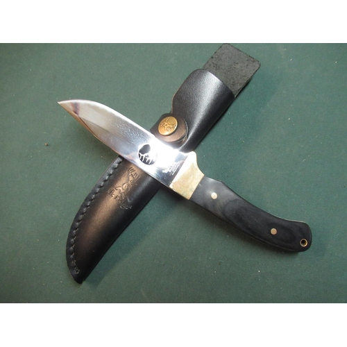 168 - Boxed as new Elk Ridge sheath knife, ER-010 with 3 1/4 inch blade, leather belt sheath