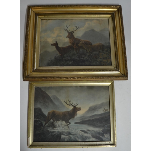 103 - 2 framed glazed prints of Stags and wild Deer. 
Smaller size:51x38.2cm
Larger size:63x50.4cm