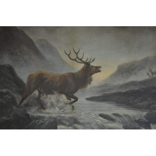 103 - 2 framed glazed prints of Stags and wild Deer. 
Smaller size:51x38.2cm
Larger size:63x50.4cm