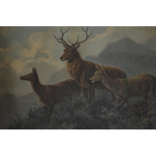 103 - 2 framed glazed prints of Stags and wild Deer. 
Smaller size:51x38.2cm
Larger size:63x50.4cm