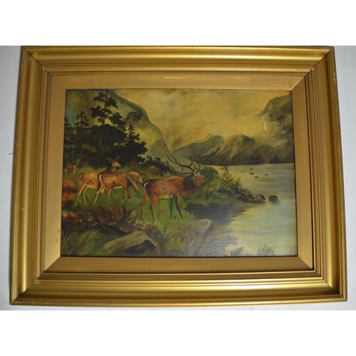 104 - 2 framed but unglazed oil paintings of Stags and Deer in scenic settings. One is signed 