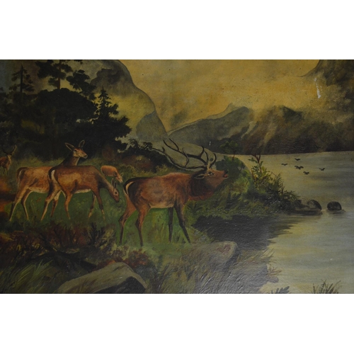 104 - 2 framed but unglazed oil paintings of Stags and Deer in scenic settings. One is signed 