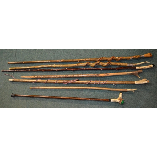 112 - 7 walking sticks including 2 Ash walking staffs with honeysuckle twists and silver coloured collars ... 