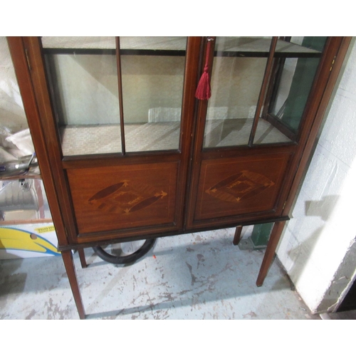 413 - Edwardian inlaid mahogany two-door display cabinet on square supports, W90cm D33cm H175cm