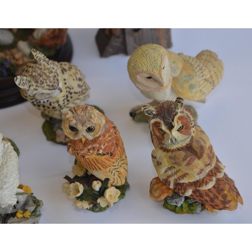 832 - 15 ceramic Owls, 12 from the Franklin Mint 