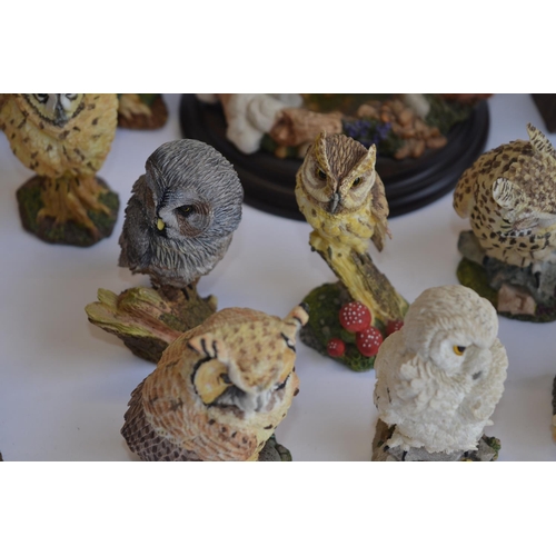 832 - 15 ceramic Owls, 12 from the Franklin Mint 