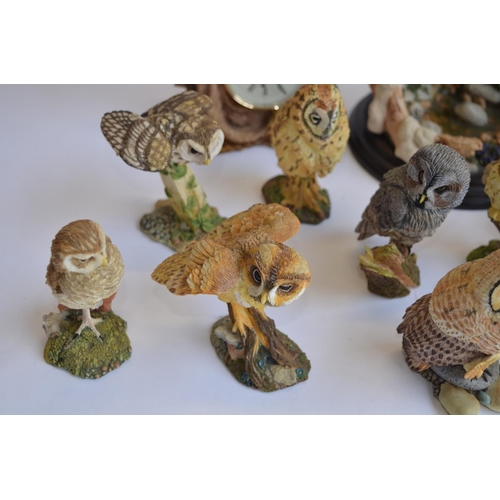 832 - 15 ceramic Owls, 12 from the Franklin Mint 