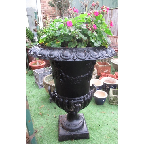 2316 - Large black painted cast iron garden urn with lion head handles and cherubs carrying a garland of fr... 