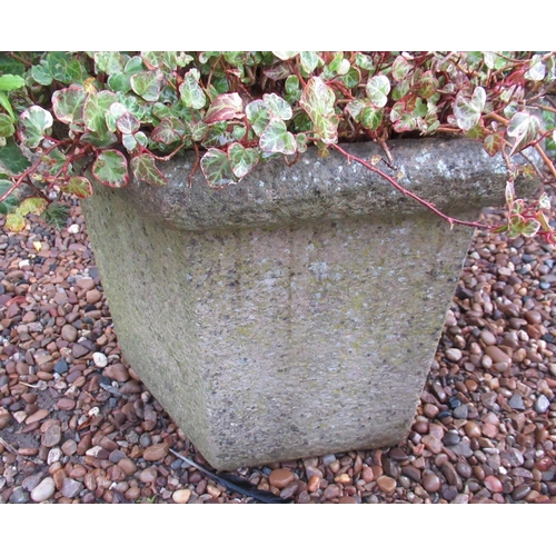 2300 - Reconstituted stone octagonal planter, complete with plant, approx 43cm x 48cm