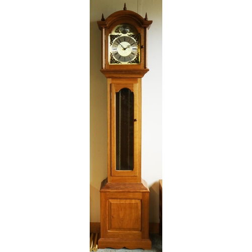 1422 - Brian Haw (former Mouseman carver) Yorkshire Oak - Long cased clock with arched top and brass Roman ... 