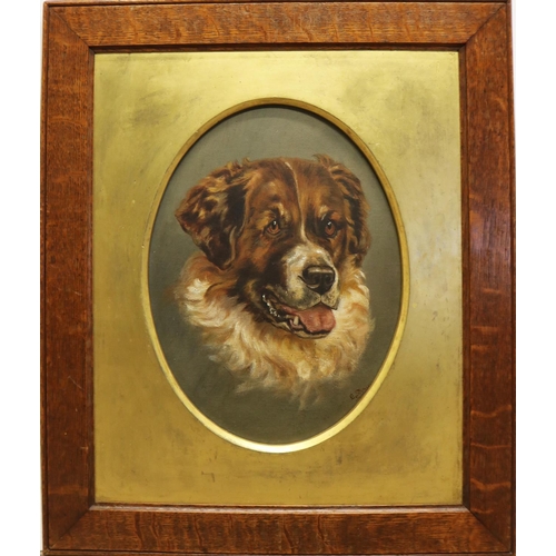 102 - E. Shaw (British C19th); Head and neck study of a St. Bernard, oval oil canvas board, signed, 30cmx ... 