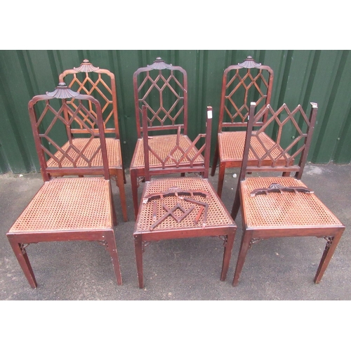 801 - Set of 6 c19th mahogany Chinese Chippendale style dinning chairs with cane work seats (a/f)