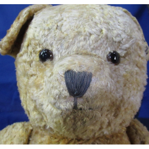 634 - Three mid C20th large golden mohair teddy bears with jointed arms and legs