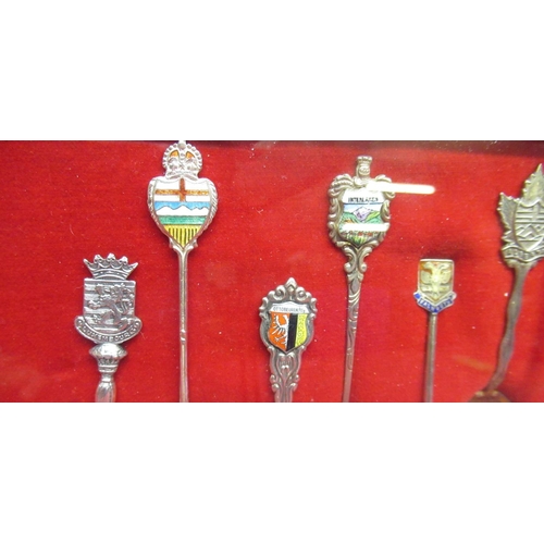36 - Collection of fifteen Continental souvenir tea spoons, some with enamel detail, framed and glazed, 3... 
