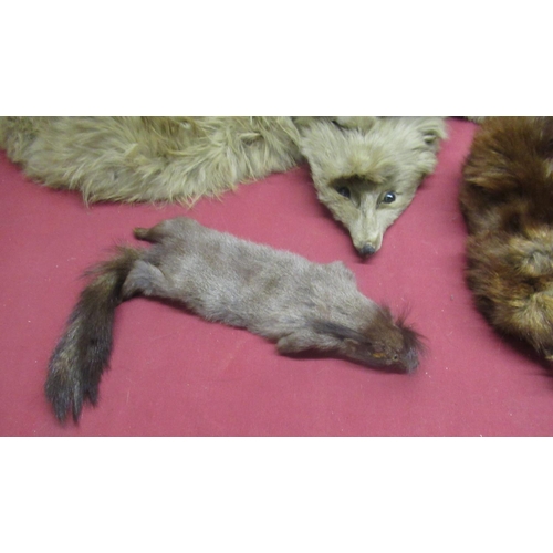 39 - Collection of fur stoles inc. a fox and ferrets (7)
