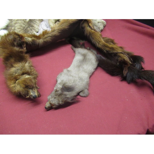 39 - Collection of fur stoles inc. a fox and ferrets (7)