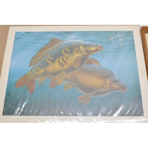 746B - Four animal prints, 3 framed incl. Mirror Carp by Illustrated Fresh Water Fish, 