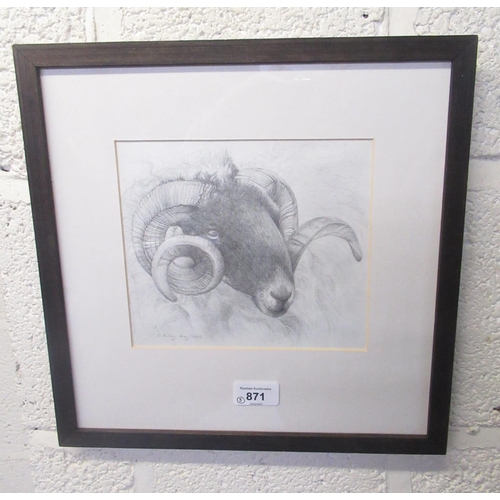 871 - Caroline Riley (British Contemporary); Rams Head, pencil study, signed and dated Aug 2003 in pencil,... 