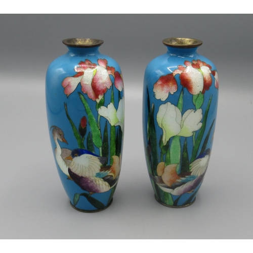 1393 - Pair of C20th Cloisonné ware vases, turquoise blue ground decorated with exotic flowers and birds H1... 