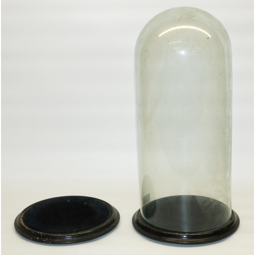 304 - C19th glass dome on circular ebonized base overall H49cm, and a similar base