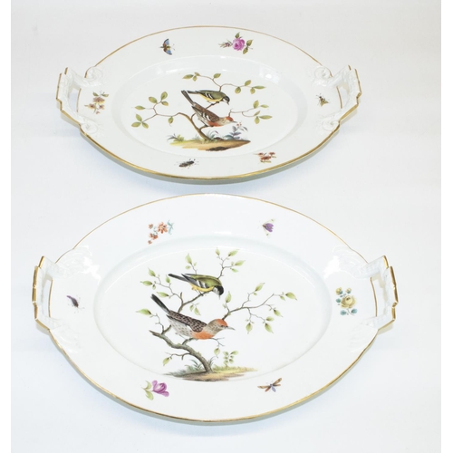 1072 - Pair of Berlin porcelain oval dishes, decorated to centre with exotic birds, floral sprig insect bor... 