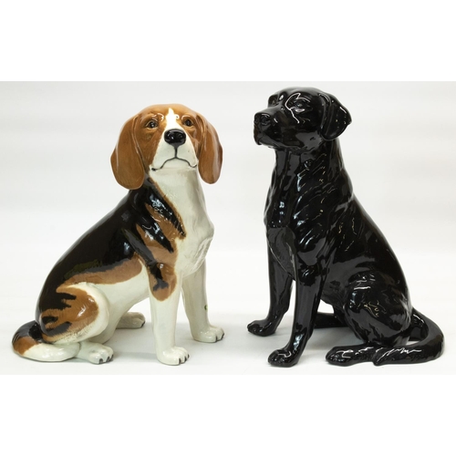 1092 - Large Beswick fire side model of a seated black Labrador, No. 2314, a similar model of a Beagle No.2... 