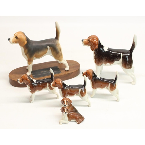 159 - Beswick Beagles inc. Champion Wendover Billy matte and gloss, Beagle pups etc (6)