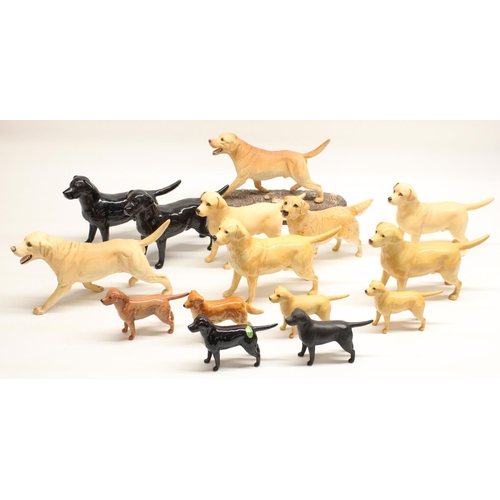 173 - Beswick Labrador figures including Solomon of Wendover, and Beswick golden retrievers (15)