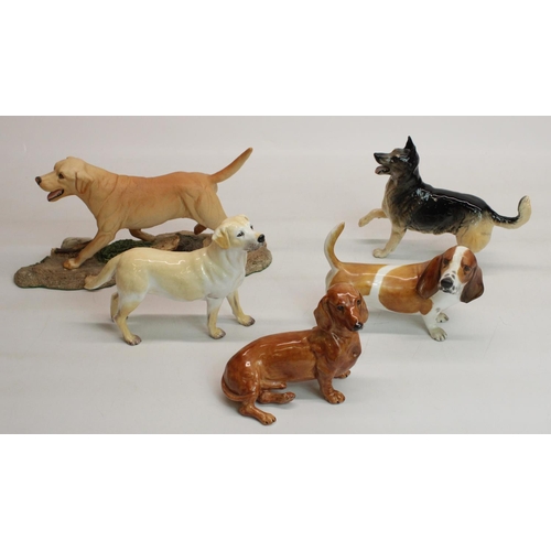 178 - Three Coalport dogs: Dachshund, Basset Hound, Labrador, a Beswick Alsatian, H15cm, and a Royal Doult... 