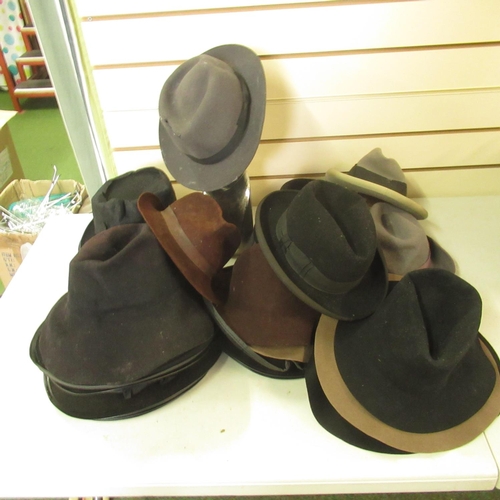 117 - Mixed collection of fedora and trilby hats