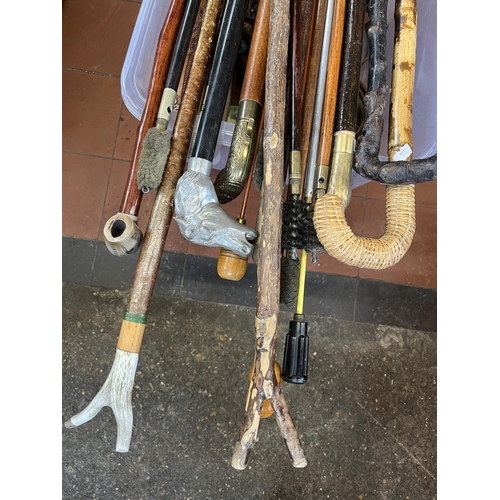 1383 - Collection of various walking and thumb sticks, gun cleaning rods, various leather belts etc (qty)