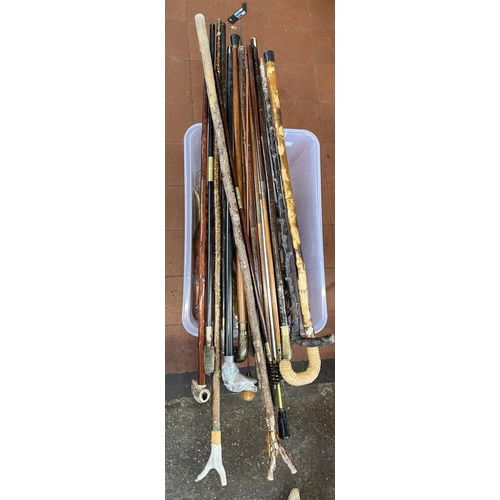 1383 - Collection of various walking and thumb sticks, gun cleaning rods, various leather belts etc (qty)