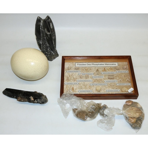 416 - Collection of fossils and minerals including a cased set 'Fossiles Des Phosphates Marocains', arrow ... 