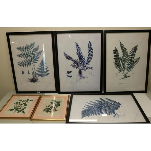 656 - Set of four Victorian style Botanical prints, 68cm x 48cm and a similar smaller pair (6)