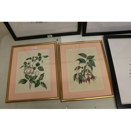 656 - Set of four Victorian style Botanical prints, 68cm x 48cm and a similar smaller pair (6)