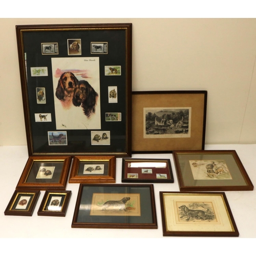 646 - Collection of Prints and framed Cigarette Cards of Otter Hounds and Water Spaniels by Vernon Stokes,... 